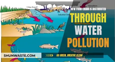 Water's Dark Secret: How Pollution Disrupts the Food Chain