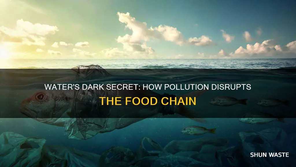 how food chain is distributed through water pollution