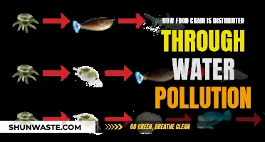Water Pollution's Impact on Food Chain Distribution
