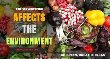 Sustainable Eating: How Food Choices Impact Our Planet's Health