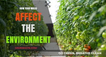Food Miles Impact: Environmental Costs of Global Food Transportation