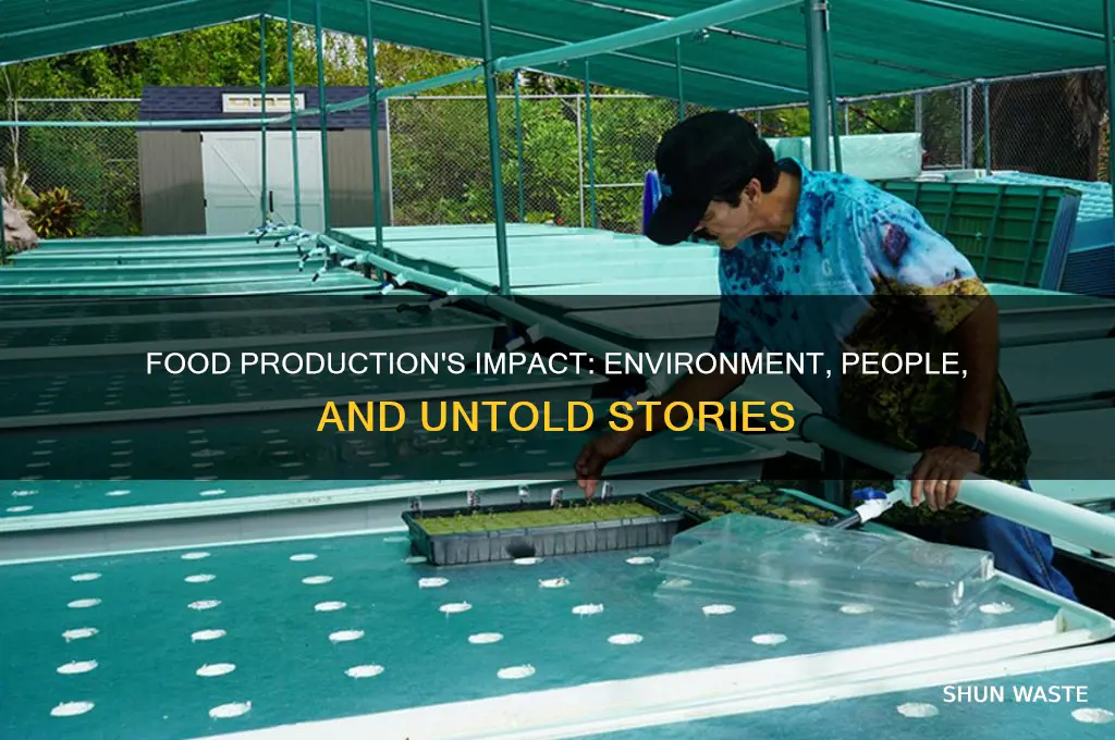 how food production affects the environment and people stories