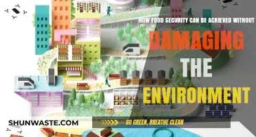 Sustainable Food Systems: Balancing Security and Environmental Preservation