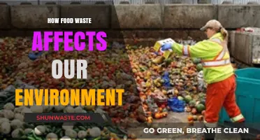 Food Waste's Environmental Impact: A Growing Crisis We Can't Ignore