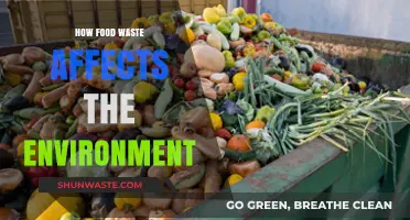 Food Waste's Environmental Impact: A Growing Crisis We Can't Ignore
