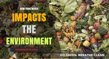 Food Waste's Environmental Toll: A Global Crisis We Must Address