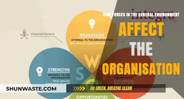 Navigating External Forces: How General Environment Shapes Organizational Strategies