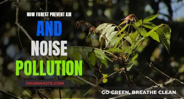 Forests: Natural Air and Noise Pollution Blockers