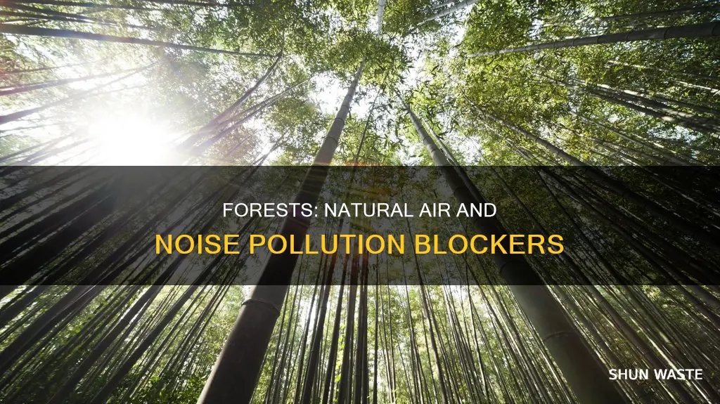 how forest prevent air and noise pollution