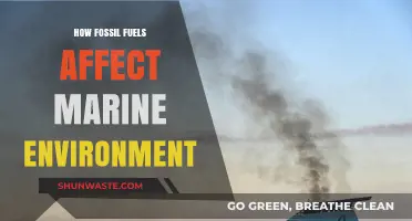 Fossil Fuels' Devastating Impact on Our Fragile Marine Ecosystems