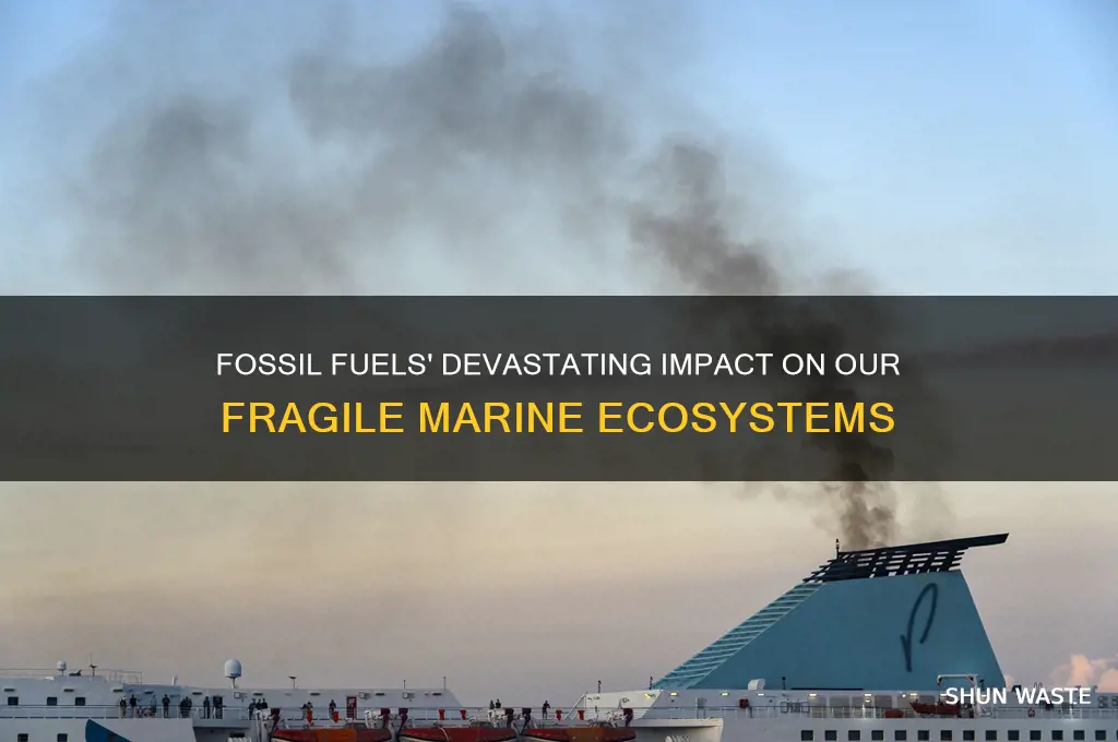 how fossil fuels affect marine environment