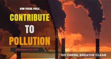 Fossil Fuels: Pollution's Dark Legacy