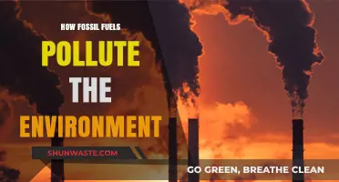 Fossil Fuels: Poisoning Our Planet