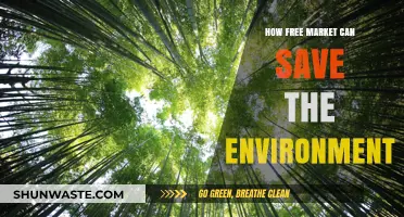 Free Markets: The Unexpected Environmental Solution for a Greener Future