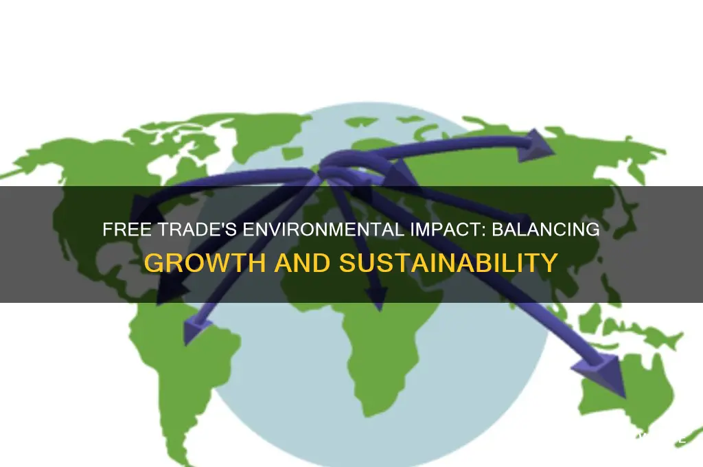 how free trade have a position impact on the environment