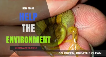 Frogs: Nature's Unsung Heroes in Environmental Balance and Health