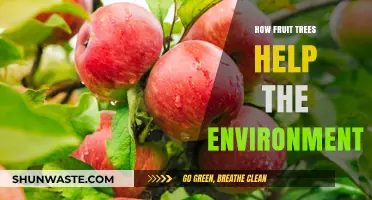 Fruit Trees: Nature's Green Allies for a Healthier Planet
