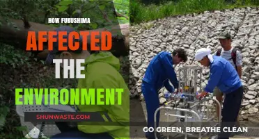 Fukushima's Environmental Impact: Unraveling the Disaster's Long-Term Ecological Consequences