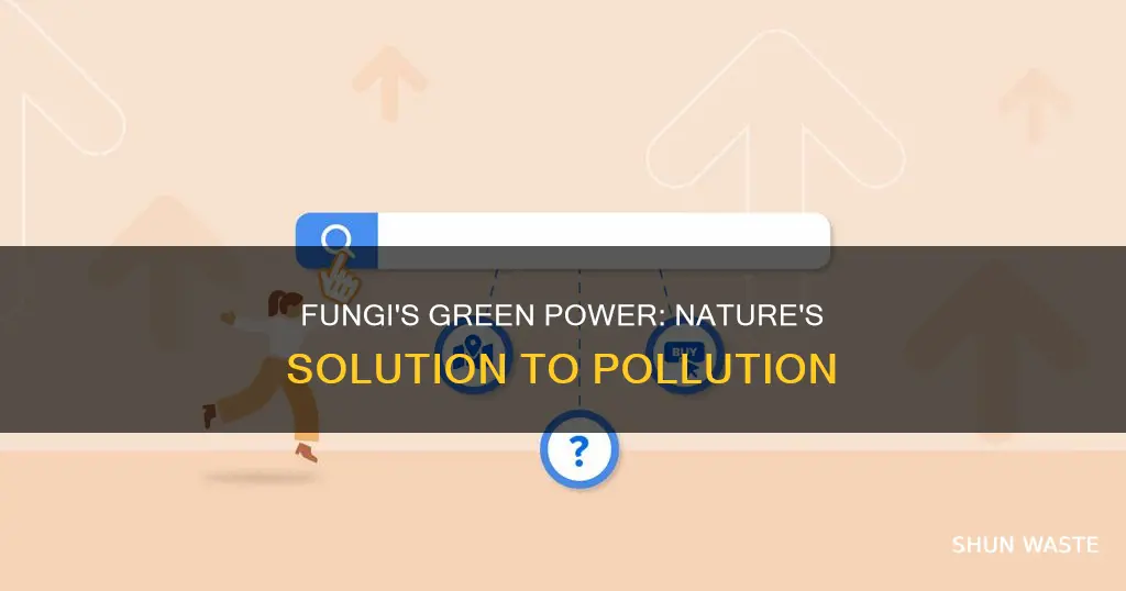 how fungi can help with pollution