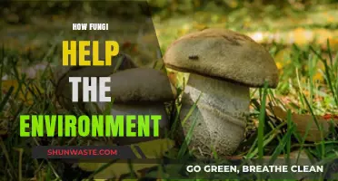 Fungi's Eco-Friendly Role: Unveiling Nature's Hidden Environmental Allies