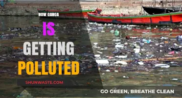 Ganga's Plight: Understanding the River's Pollution Crisis