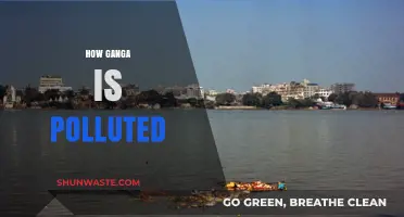 Ganga's Pollution: A Troubling Tale