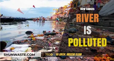 Ganges River: A Polluted Lifeline