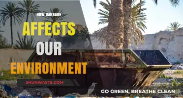 Garbage's Devastating Impact: How Waste Pollutes Our Environment and Planet