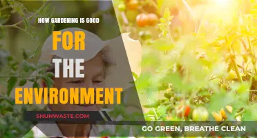 Gardening's Green Impact: How Cultivating Plants Benefits Our Environment