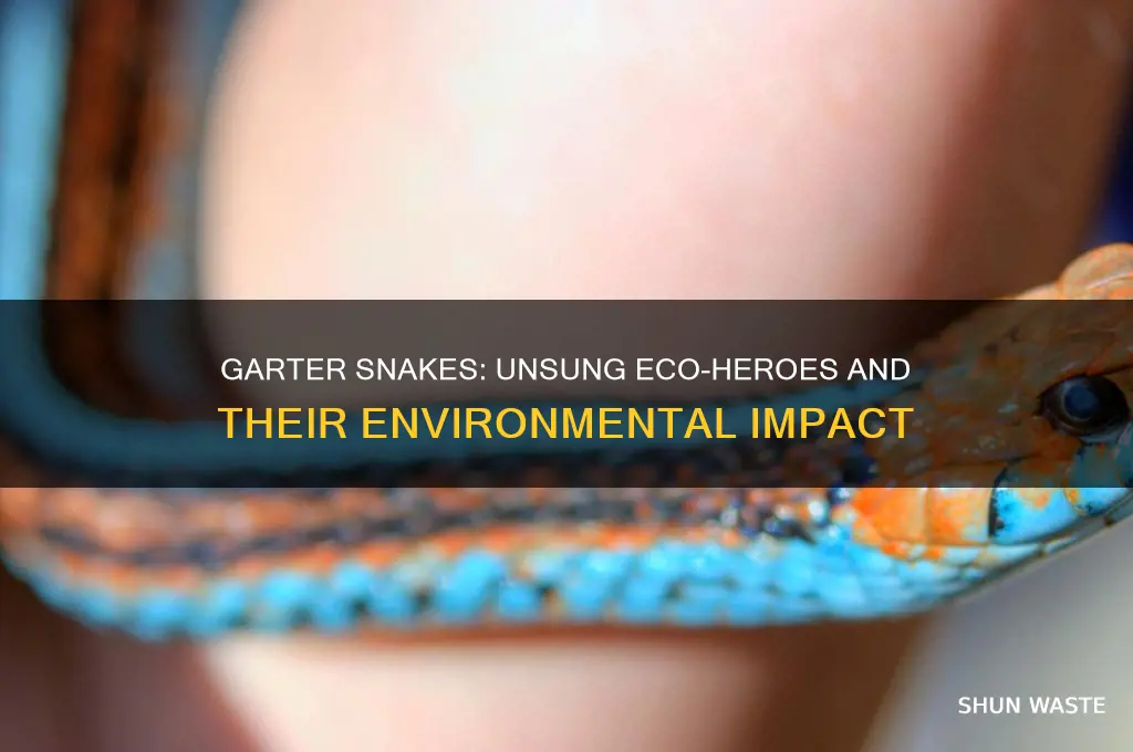 how garter snakes help the environment