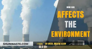 Gas Emissions: Uncovering Their Devastating Impact on Our Environment