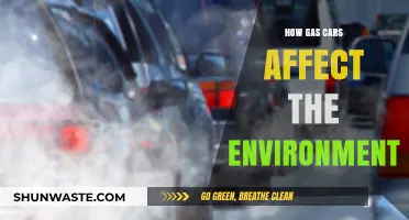 Gas Cars' Environmental Impact: Pollution, Climate Change, and Sustainability Challenges