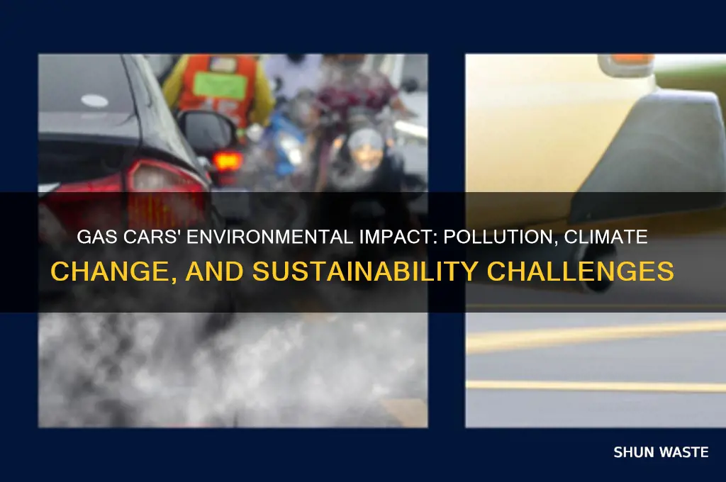 how gas cars affect the environment