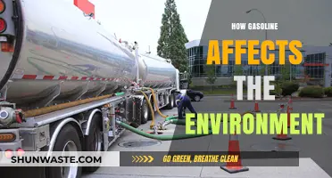 Gasoline's Environmental Impact: Pollution, Climate Change, and Ecosystem Destruction