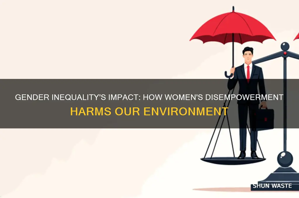 how gender inequality affects environment