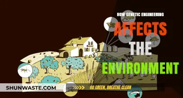 Genetic Engineering's Environmental Impact: Risks, Benefits, and Future Challenges