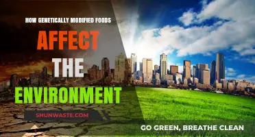 Genetically Modified Foods: Environmental Impact and Sustainability Concerns