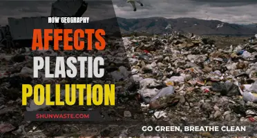 Geography's Impact on Plastic Pollution: A Global Concern