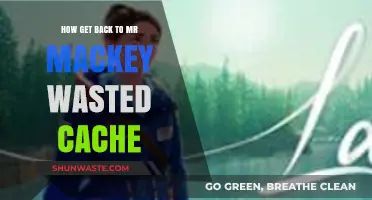 Reviving Mr. Mackey's Lost Cache: A Step-by-Step Recovery Guide