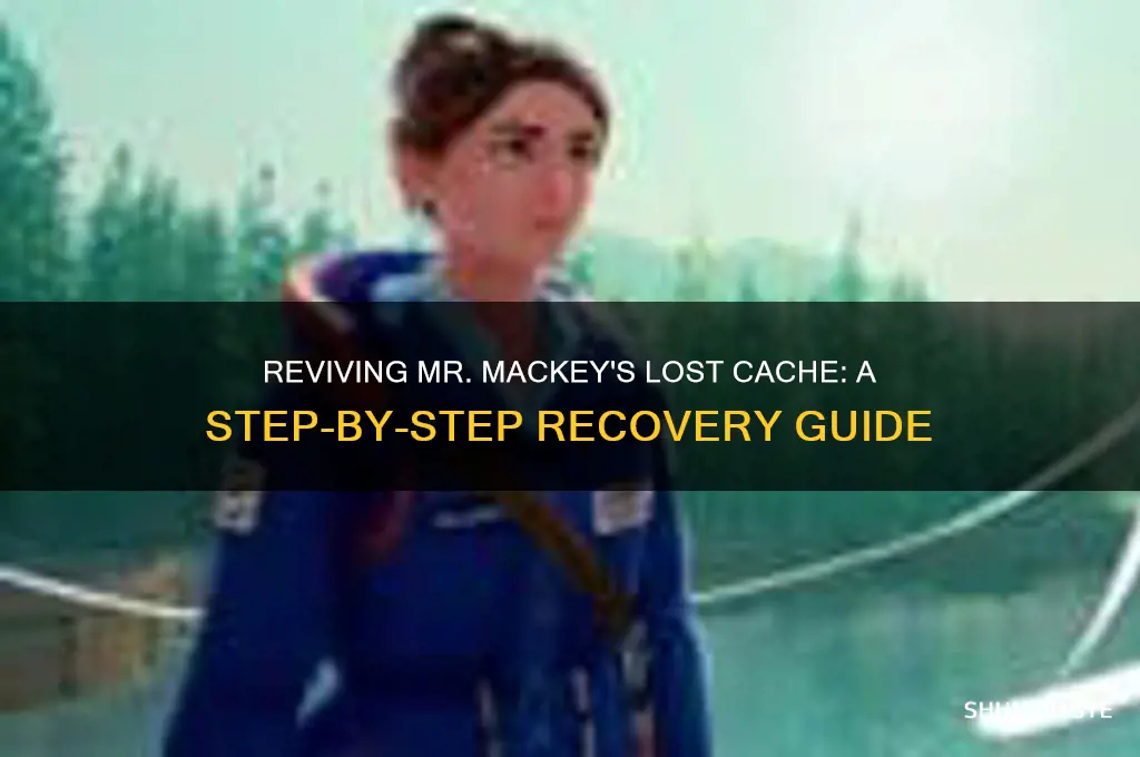 how get back to mr mackey wasted cache
