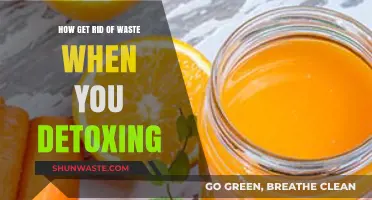 Effective Waste Elimination Strategies for a Successful Detox Journey