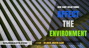 Giant Solar Farms: Environmental Impacts and Sustainable Energy Trade-offs