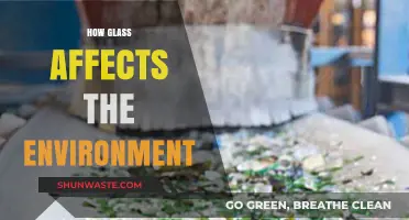 Glass's Environmental Impact: Sustainability, Recycling, and Ecological Footprint Explored