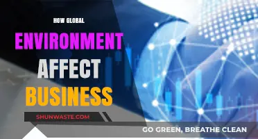 Global Environmental Shifts: Impacting Business Strategies and Sustainability