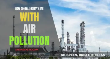 Global Strategies to Combat Air Pollution