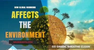 Global Warming's Devastating Impact on Our Fragile Environment Explained
