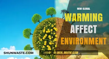 Global Warming's Devastating Impact on Our Fragile Environment Explained