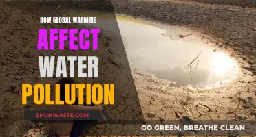 Global Warming's Impact on Water Pollution