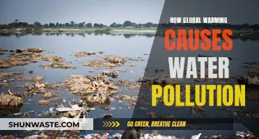 Global Warming's Impact: How It Fuels Water Pollution