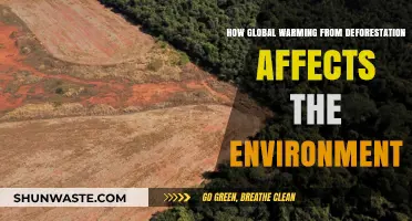 Deforestation's Role in Global Warming: Environmental Impacts and Consequences